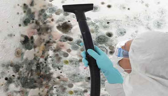 Mold Removal in Alhambra CA